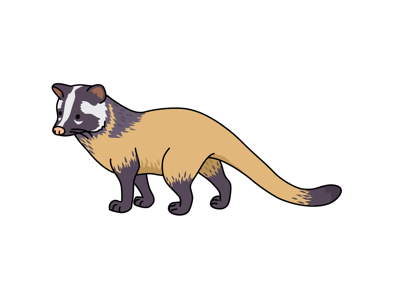 ハクビシン撃退大作戦:被害ゼロを目指す総合情報ポータル